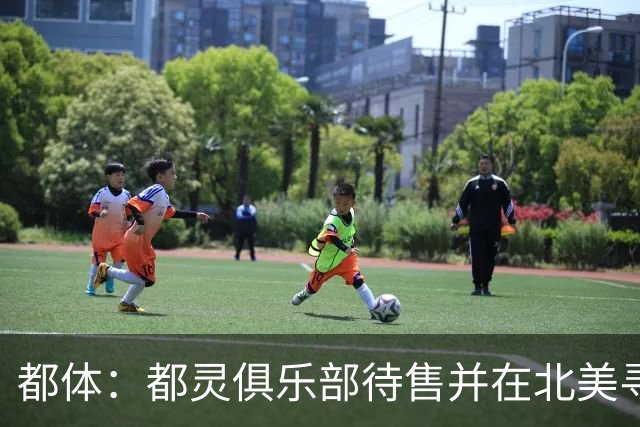 都体：都灵俱乐部待售并在北美寻找买家，老板卡伊罗要价2.5亿欧
